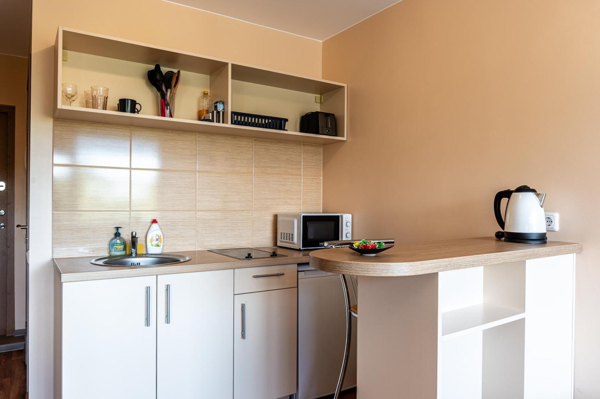 Studio Apartment Κάουνας Εξωτερικό φωτογραφία