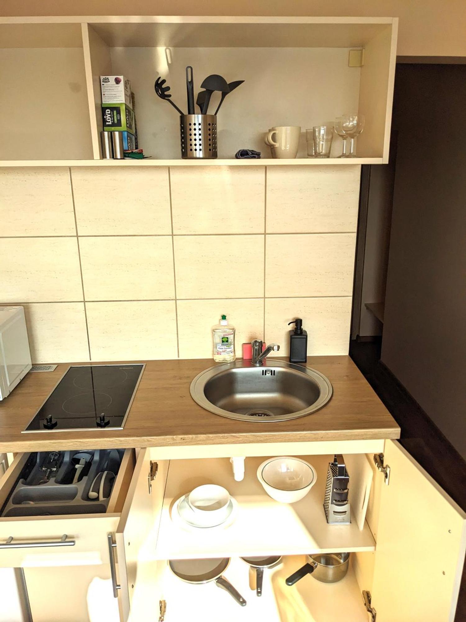 Studio Apartment Κάουνας Εξωτερικό φωτογραφία